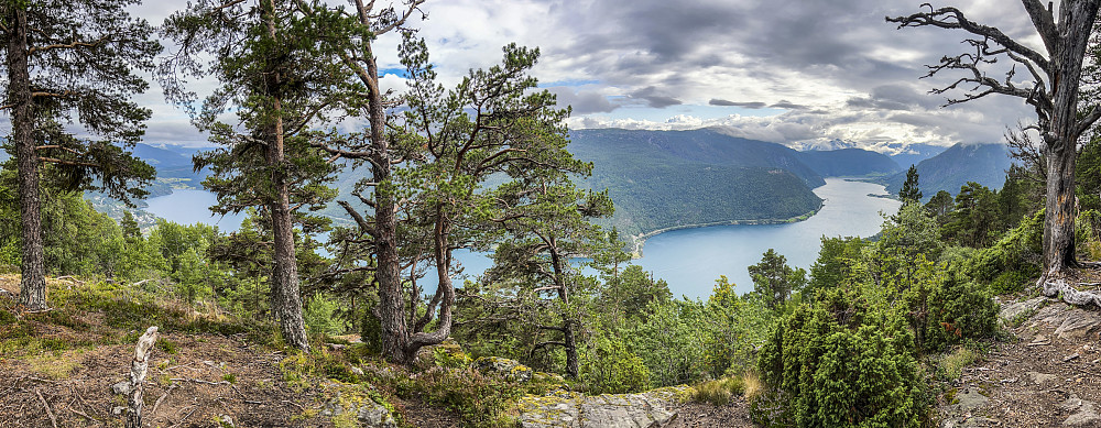 Utsikt mot Sogndalsfjorden