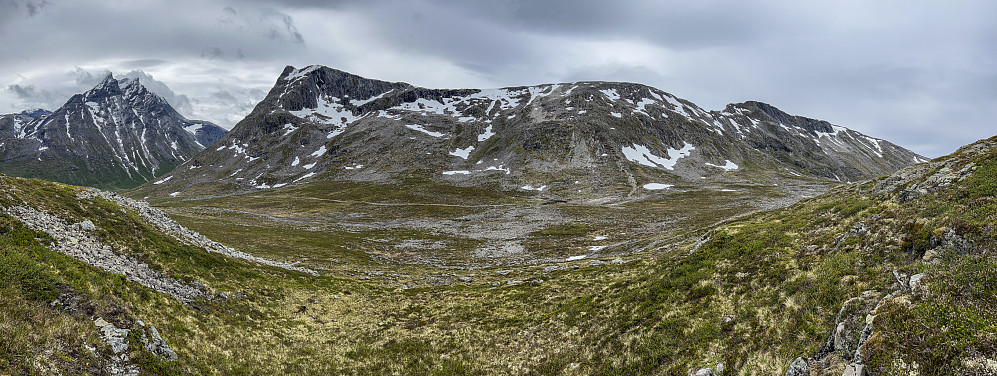 Blånebba - Mjølvafjellet, sett på vei til Storhesten
