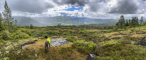 Utsikt fra Vattatuva