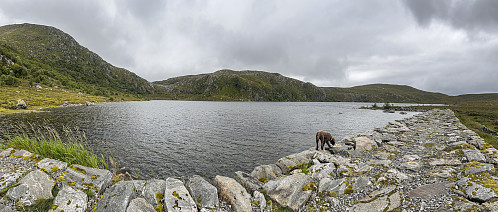 Ved Mørkevatnet, Moltudalen