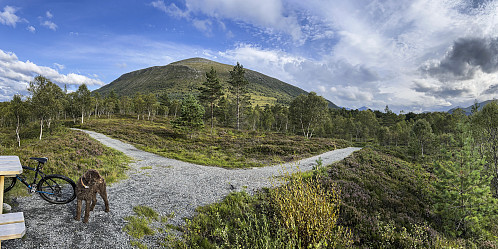 Langs Rotarystien, Hareid