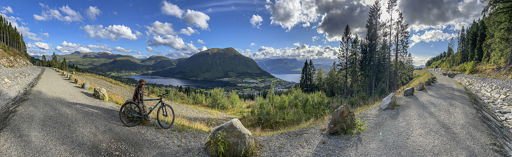 Tilbake til Volda!