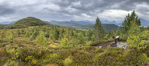 På vei mot Høgekubben