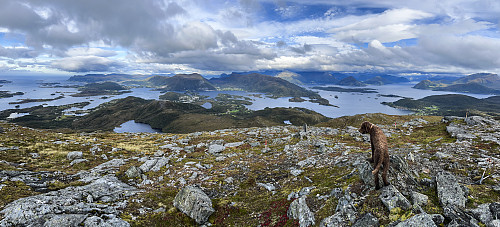 Fin utsikt fra Rjåhornet