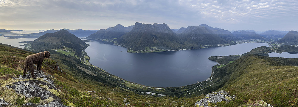Rømte fra havtåka hjemme (venstre)