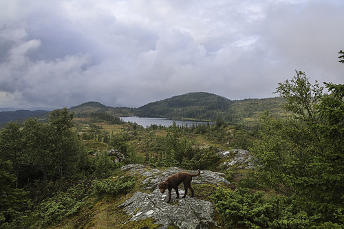 På vei mot Storheia