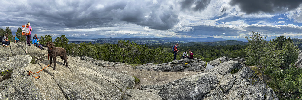 På Geitfjellet i Bymarka