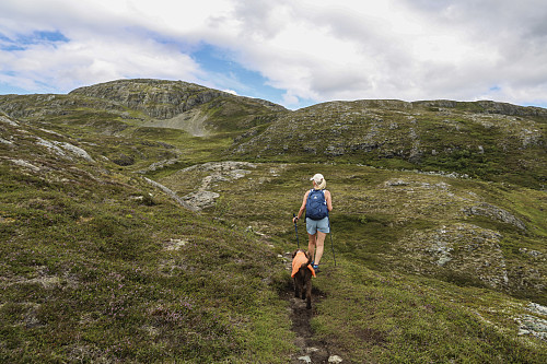 På vei mot Resfjellet