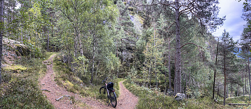 På vei ned Kongavegen, til Årøy