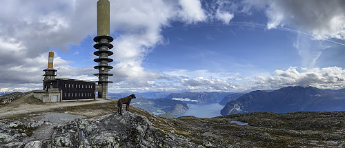 På Storehaugfjellet