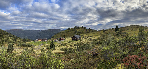 Imesdal, med Vetle Hovden bak