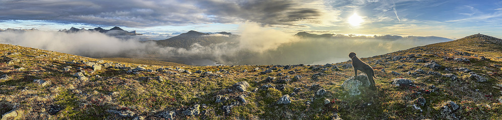 På Løkeberget