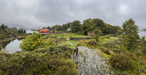 Tusling på Herøya