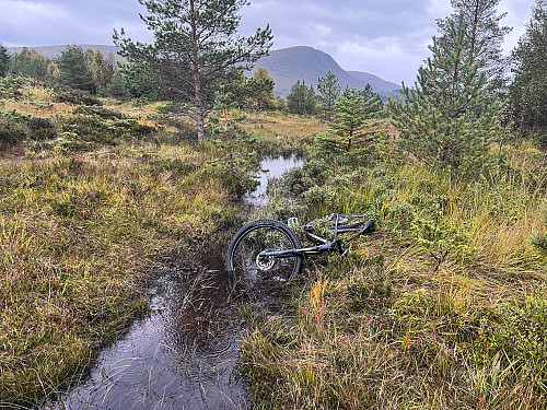 Håpløst sykkelterreng