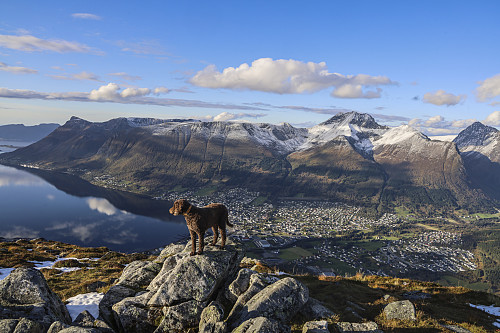 På Melshornet