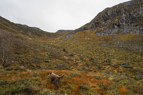 På vei opp Grødalen