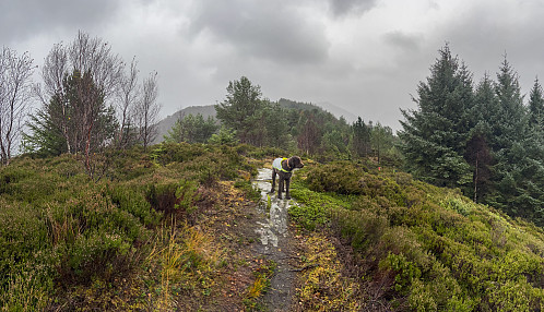 På vei mot Rambjøra med storm i kastene
