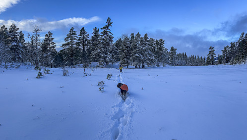 Ganske mye snø på myra nær toppen