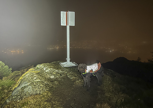 På Høgåsen