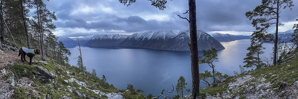 Fra "Panoramastien" nær Amlaholten