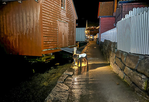 Fjordstien, Sogndal
