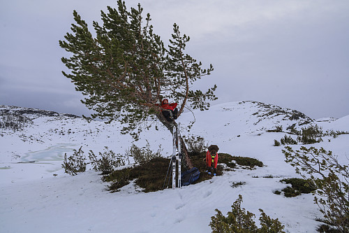 På vei til Helleberget. Gamle folk trenger hvile