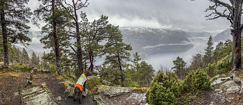En fin, regnfull rundtur over Stedjeåsen