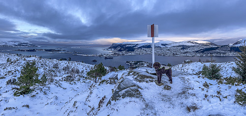 På Høgåsen på Dimnøya