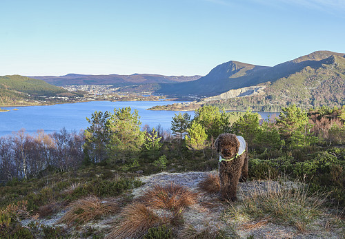 Kort luftetur før avgang til Sogndal