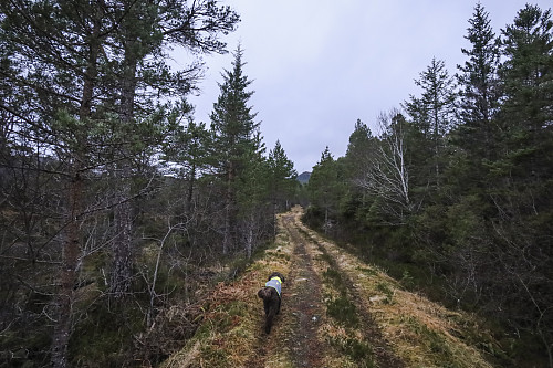På vei mot Gyrinakken - i bakgrunnen