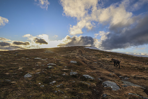 På vei opp Sulafjellet
