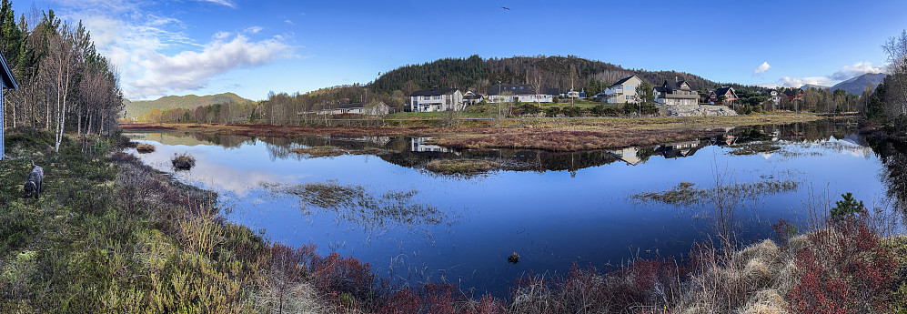 Fin morgentur