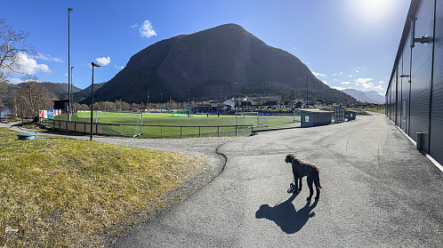Fillebikkja ville bare se fotball