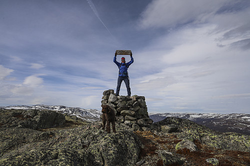 På Flåtåfjellet