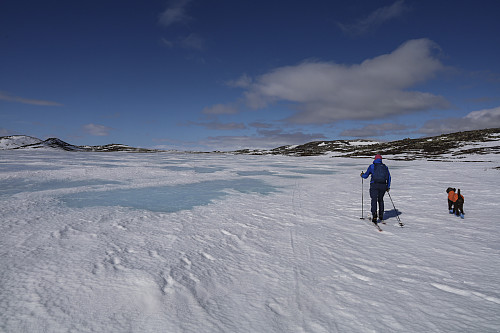 Herlig dag og herlig skitur innenfor Hardangervidda nasjonalpark