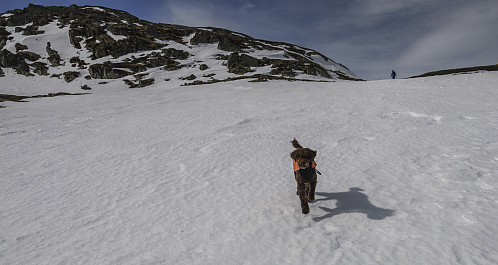 Glade påskedager på joggesko