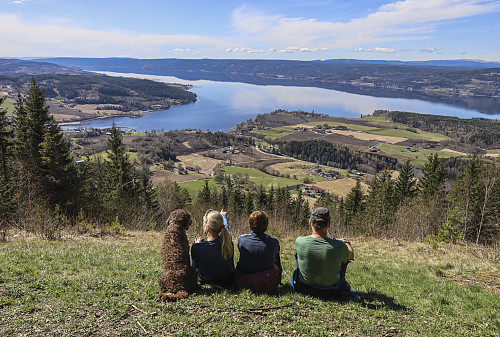 Randsfjorden sett fra Brandbukampen