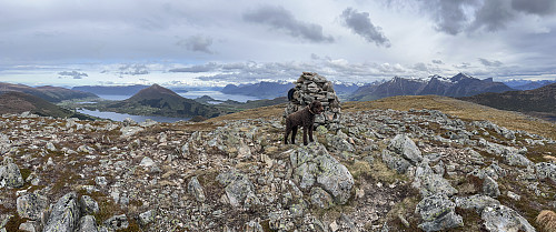 På Løkeberget