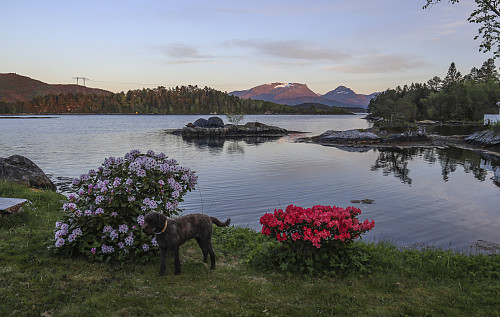 Det er fint ved Kjeldsund