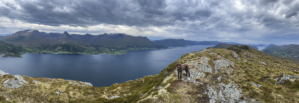 På Laupsnipa