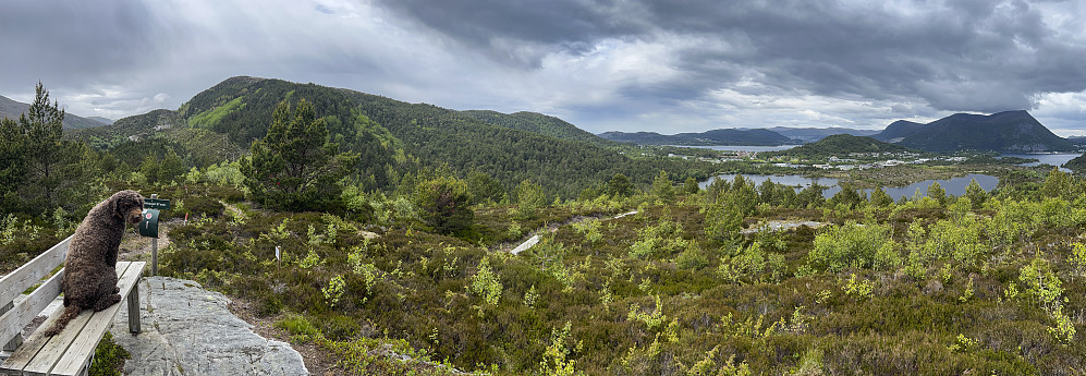 Djupvikhaugen