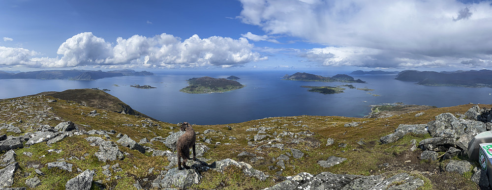 På Nystøylhornet