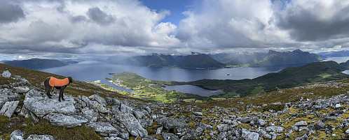 Utsikt fra Melshornet