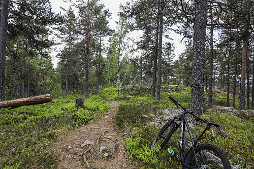 Ankomst toppen, på sykkel