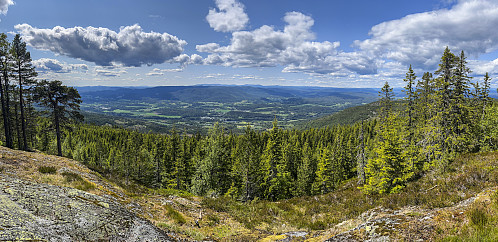 Utsikt fra Snaukollen