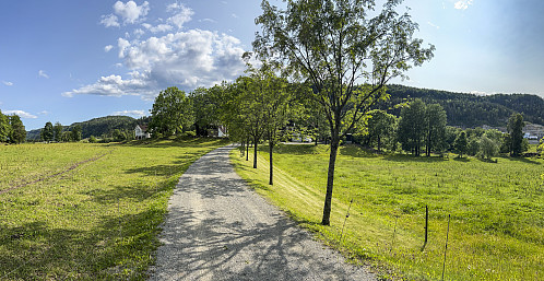 På vei mot Tyriåsen (venstre)