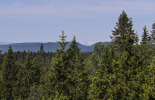 Gaustatoppen - 97,2km lengre vest