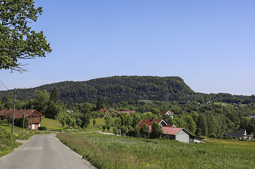 Skaugumsåsen