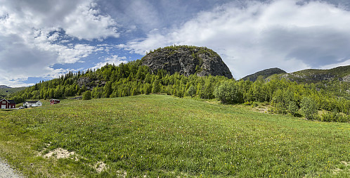 Hallenuten