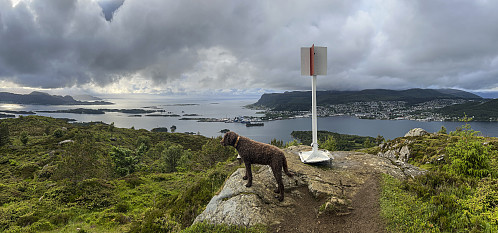 På Høgåsen